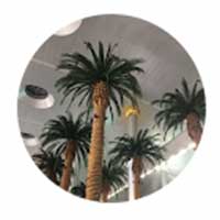 Guest